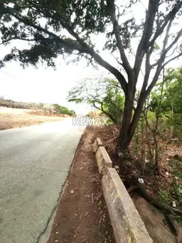 Vista 6