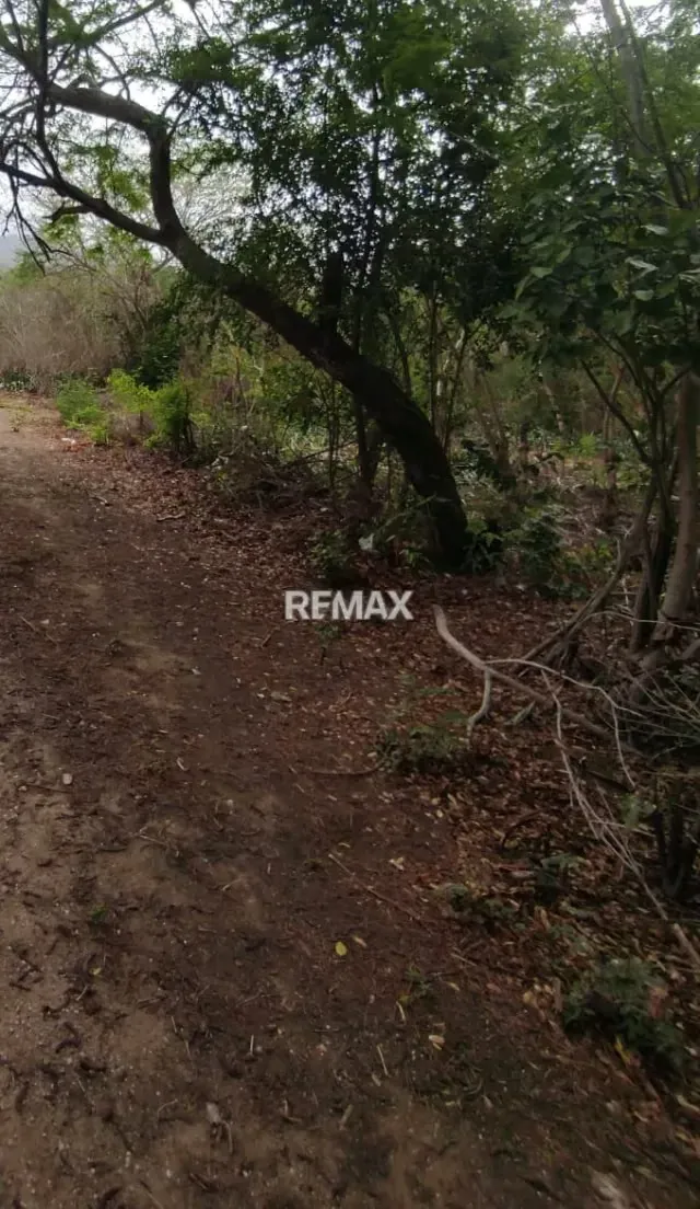Terreno en Venta - Guatamare - 8