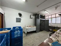 Vista 14