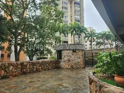 View 33