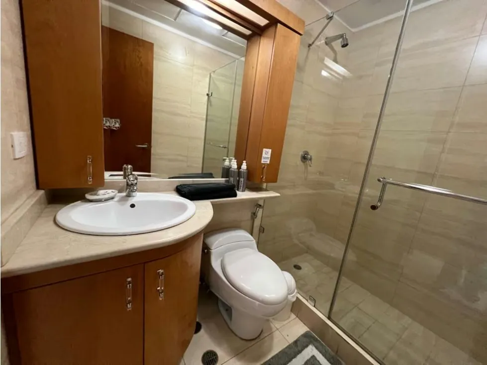 Se alquila apto 264m2 Las Mercedes 0267 - 18