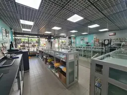 Vista 6