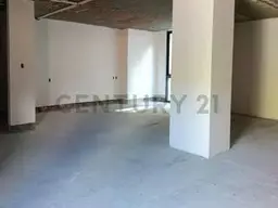 Vista 5