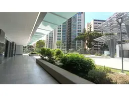Vista 6