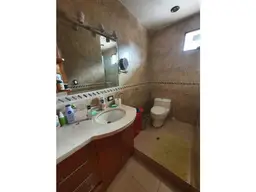 Vista 15