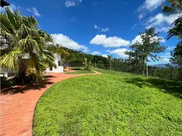 View 8