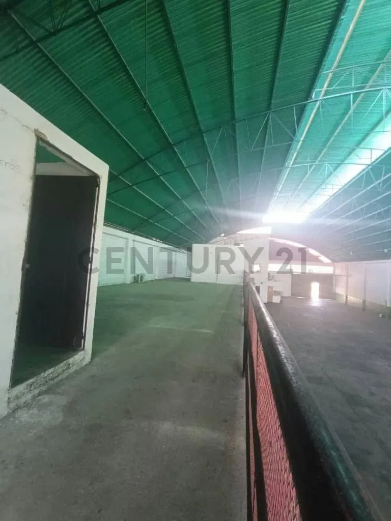 Venta Edificio Comercial el Piñal - 5