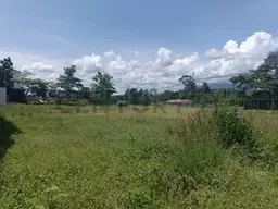 View 10
