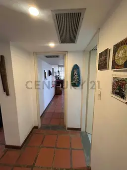Vista 11