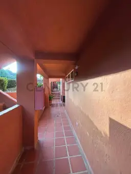 Vista 19