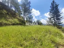 View 3