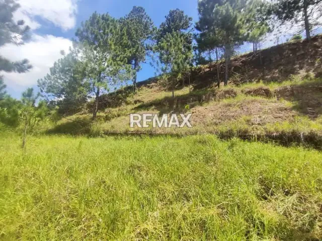 Venta terreno Monte Elena 23.061m2 - 5