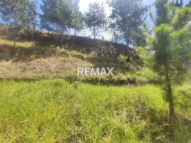 Venta terreno Monte Elena 23.061m2 - 6