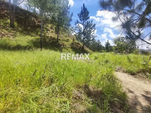 Venta terreno Monte Elena 23.061m2 - 7