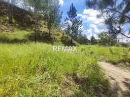 View 7