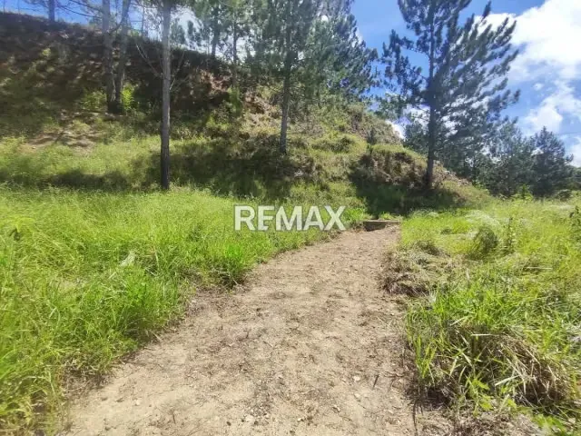 Venta terreno Monte Elena 23.061m2 - 8