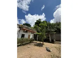 Vista 21