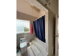 Vista 4