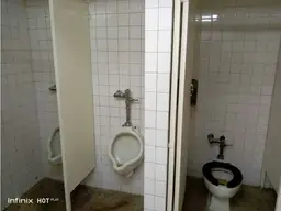 Vista 11