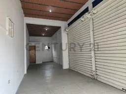 Vista 3