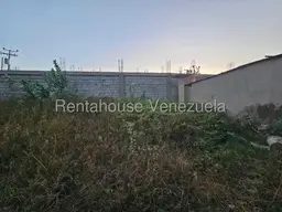 Vista 4