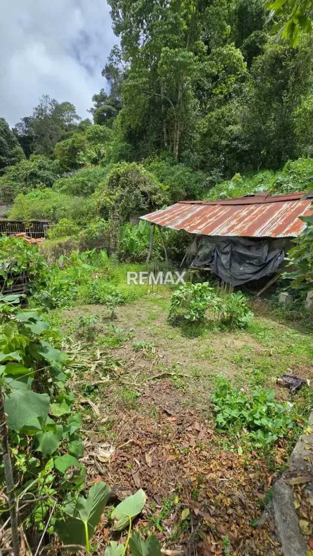 TERRENO EN VENTA - 2