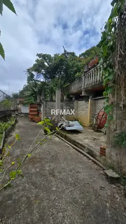 Vista 5