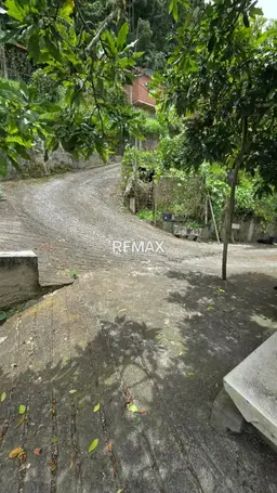 Vista 9