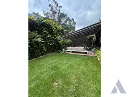 Vista 16