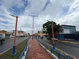 Vista 5