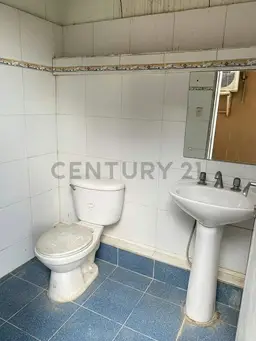 Vista 19