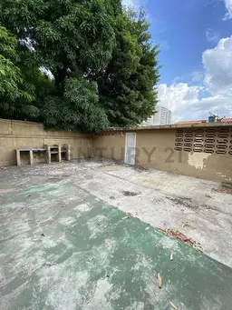 Vista 21