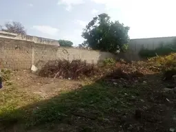 View 3