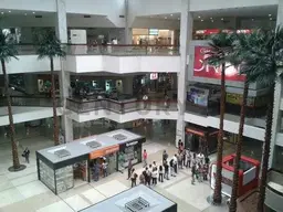 Vista 6