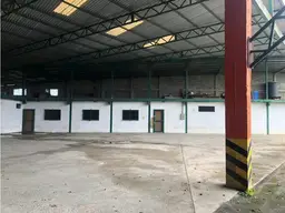 Vista 24
