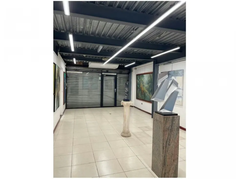 Vendo edificio comercial 870m2 Los Chorros 4528 - 13