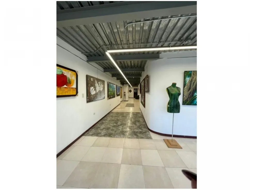 Vendo edificio comercial 870m2 Los Chorros 4528 - 6