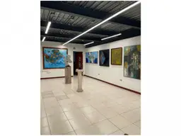 Vista 7