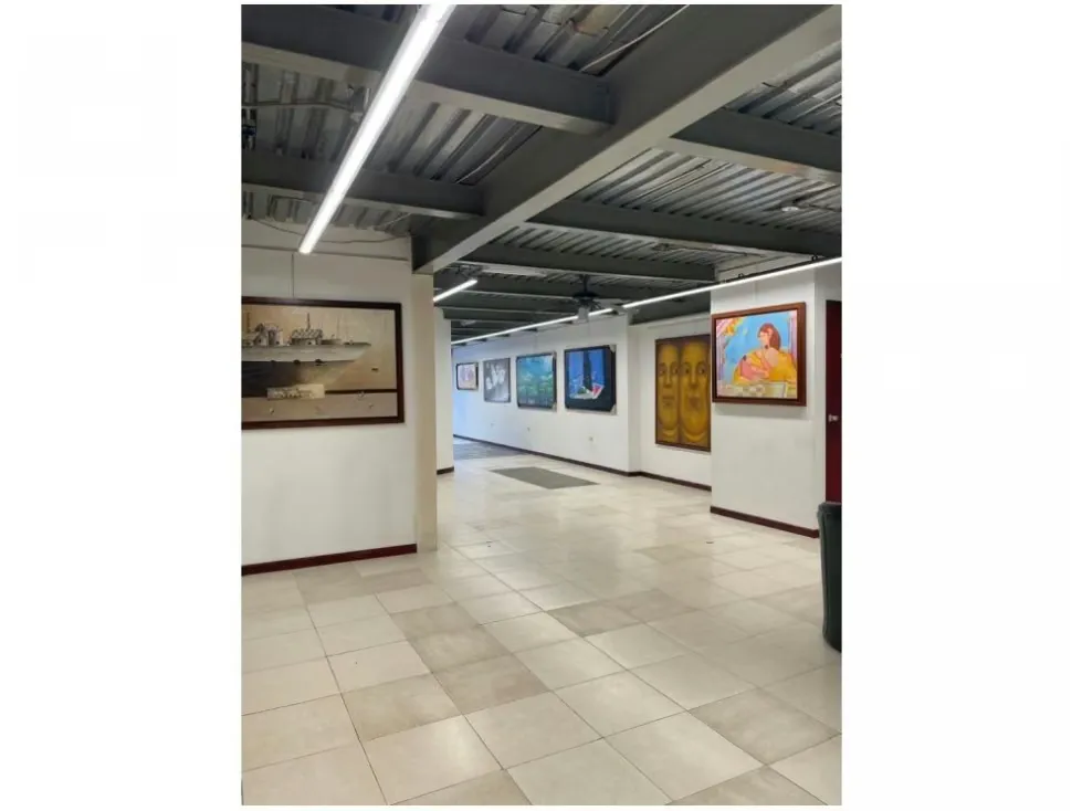 Vendo edificio comercial 870m2 Los Chorros 4528 - 10