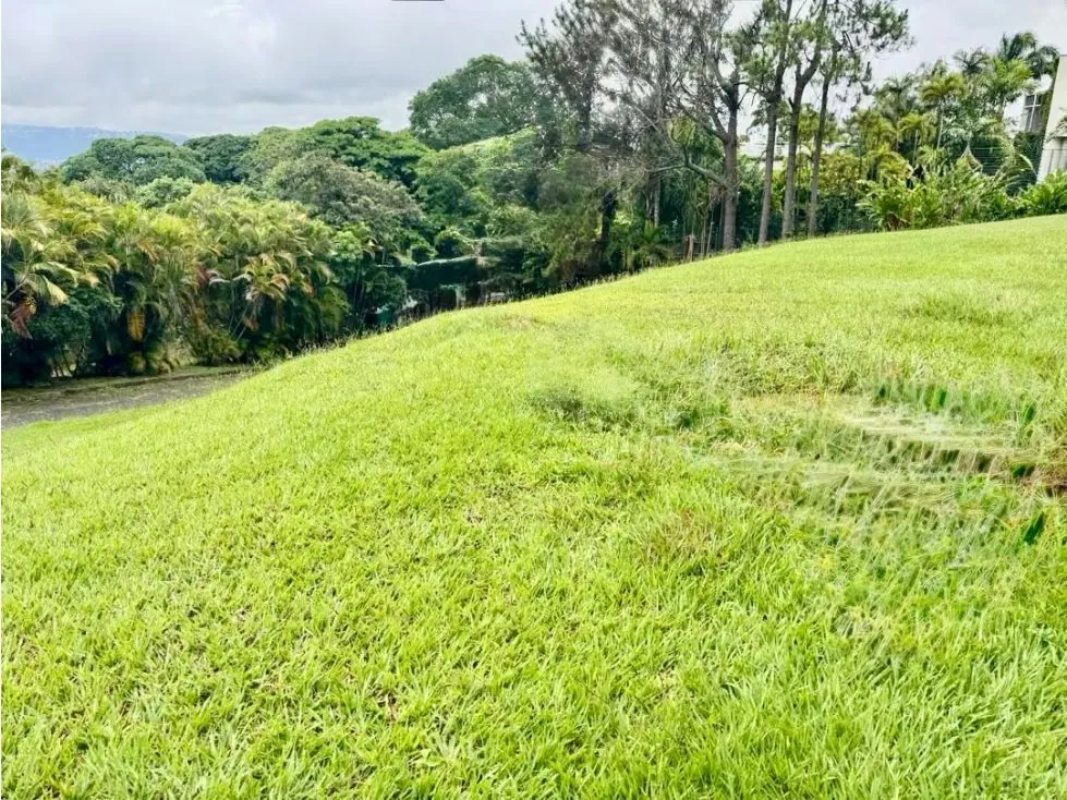 Se vende terreno R5 8.816m2 Los Chorros