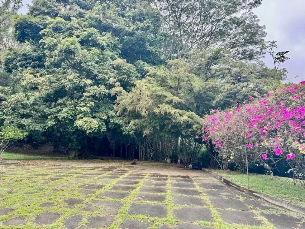 Se vende terreno R5 8.816m2 Los Chorros - 7