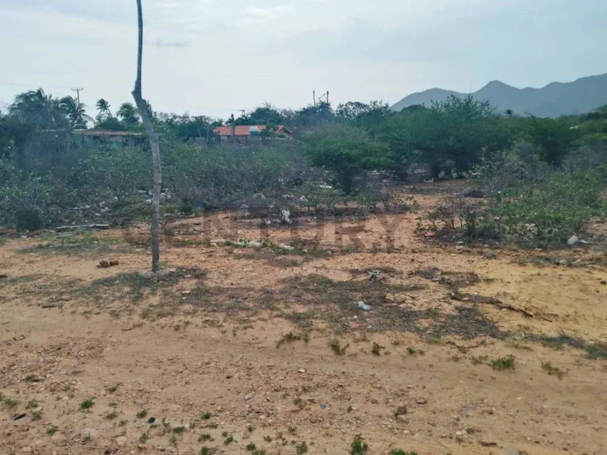 LOTE DE TERRENO PLANO UBICADO EN SAN ANTONIO, MUNICIPIO GARCIA - 3