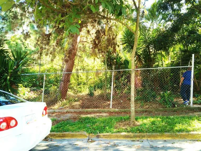 En venta terreno, ubicado en la urbanización Piedra Azul, municipio Baruta - 2