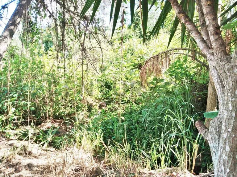 En venta terreno, ubicado en la urbanización Piedra Azul, municipio Baruta - 3