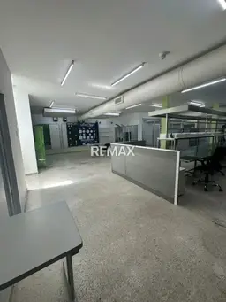 Vista 16