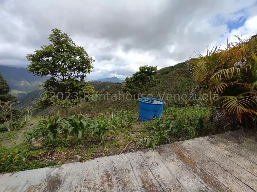 Casa (Multipes Niveles) en Venta en Sector Potrero Perdido, Aragua - 31