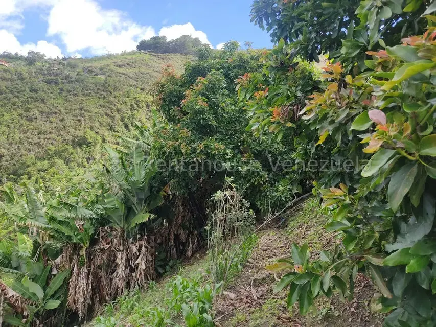 Casa (Multipes Niveles) en Venta en Sector Potrero Perdido, Aragua - 33