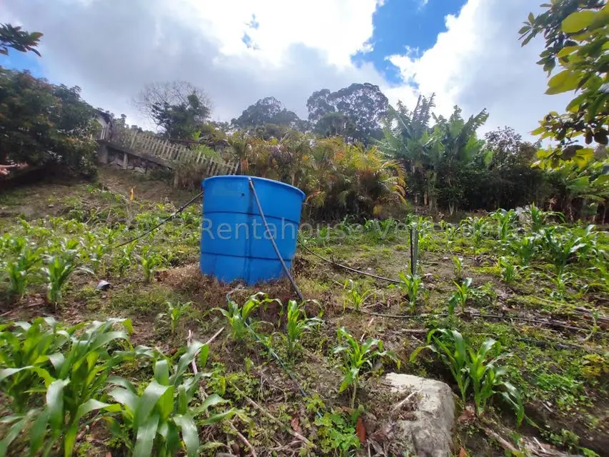 Casa (Multipes Niveles) en Venta en Sector Potrero Perdido, Aragua - 34