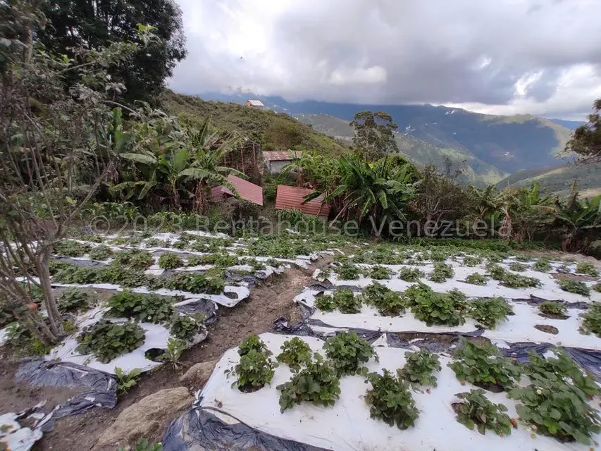 Casa (Multipes Niveles) en Venta en Sector Potrero Perdido, Aragua - 36