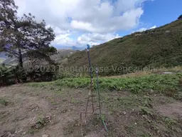 View 37
